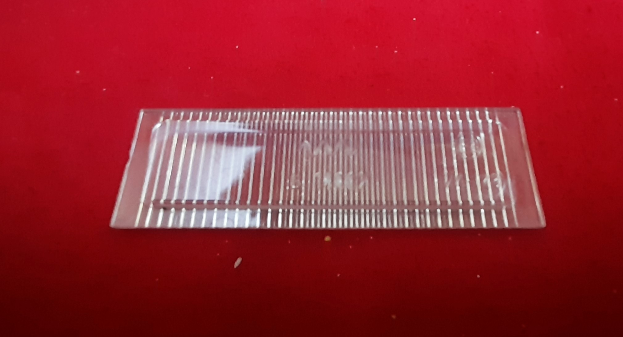 Lichtaustrittsscheibe Kennzeichenleuchte Kennzeichenbeleuchtung Glas  Trabant 601