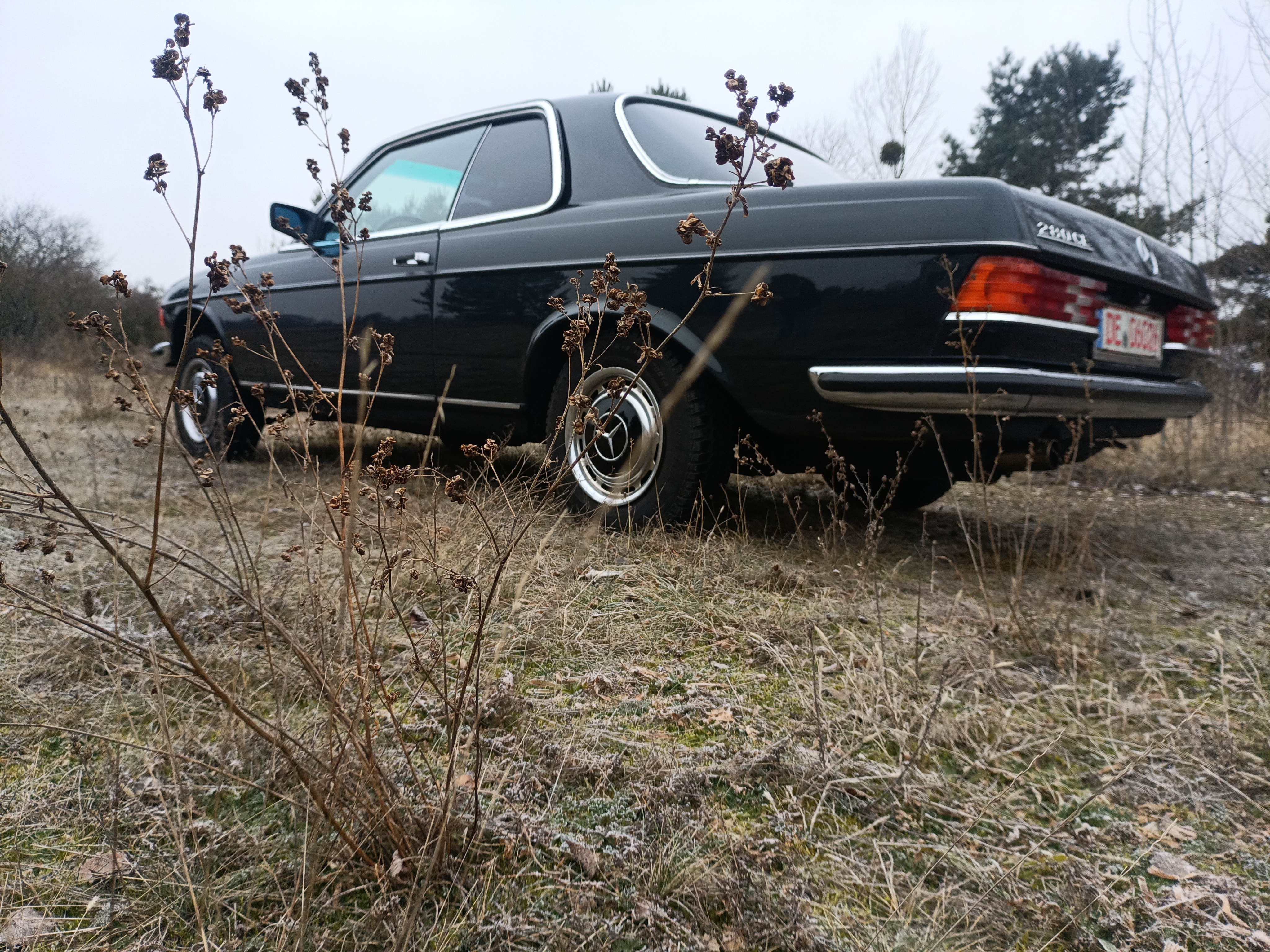 Mercedes 280CE W123 Coupe Oldtimer