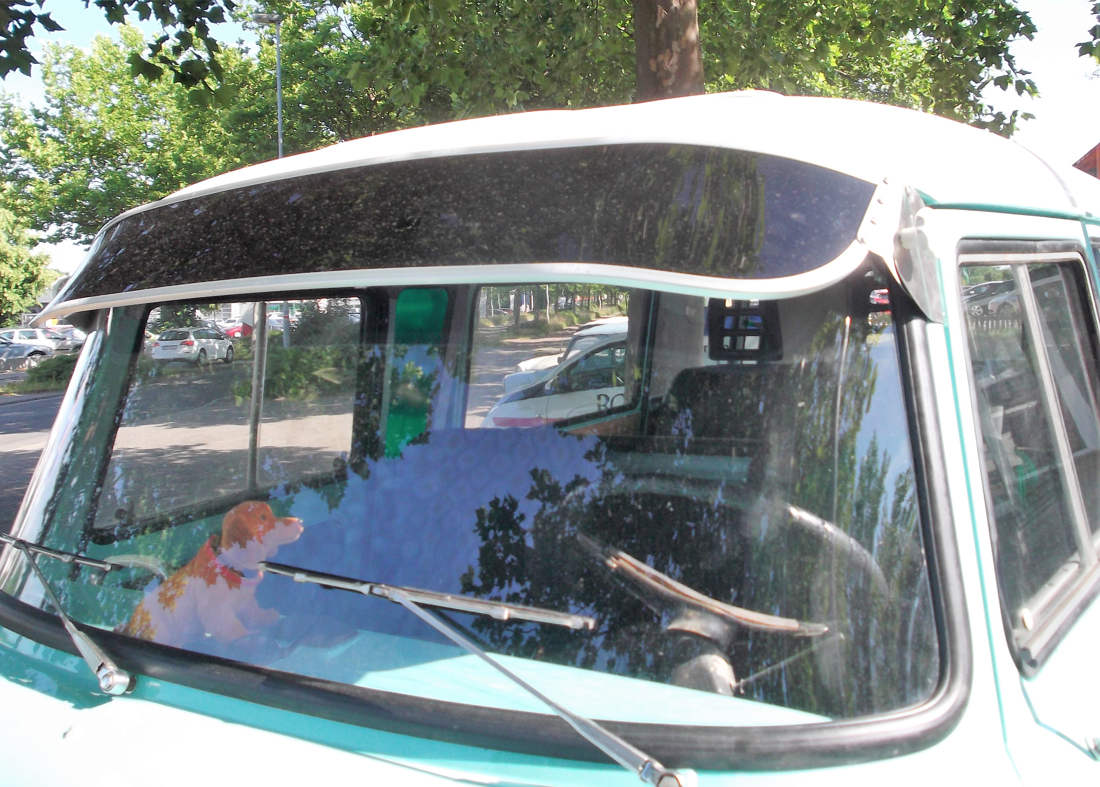 Sonnenschute Rauch Barkas B 1000
