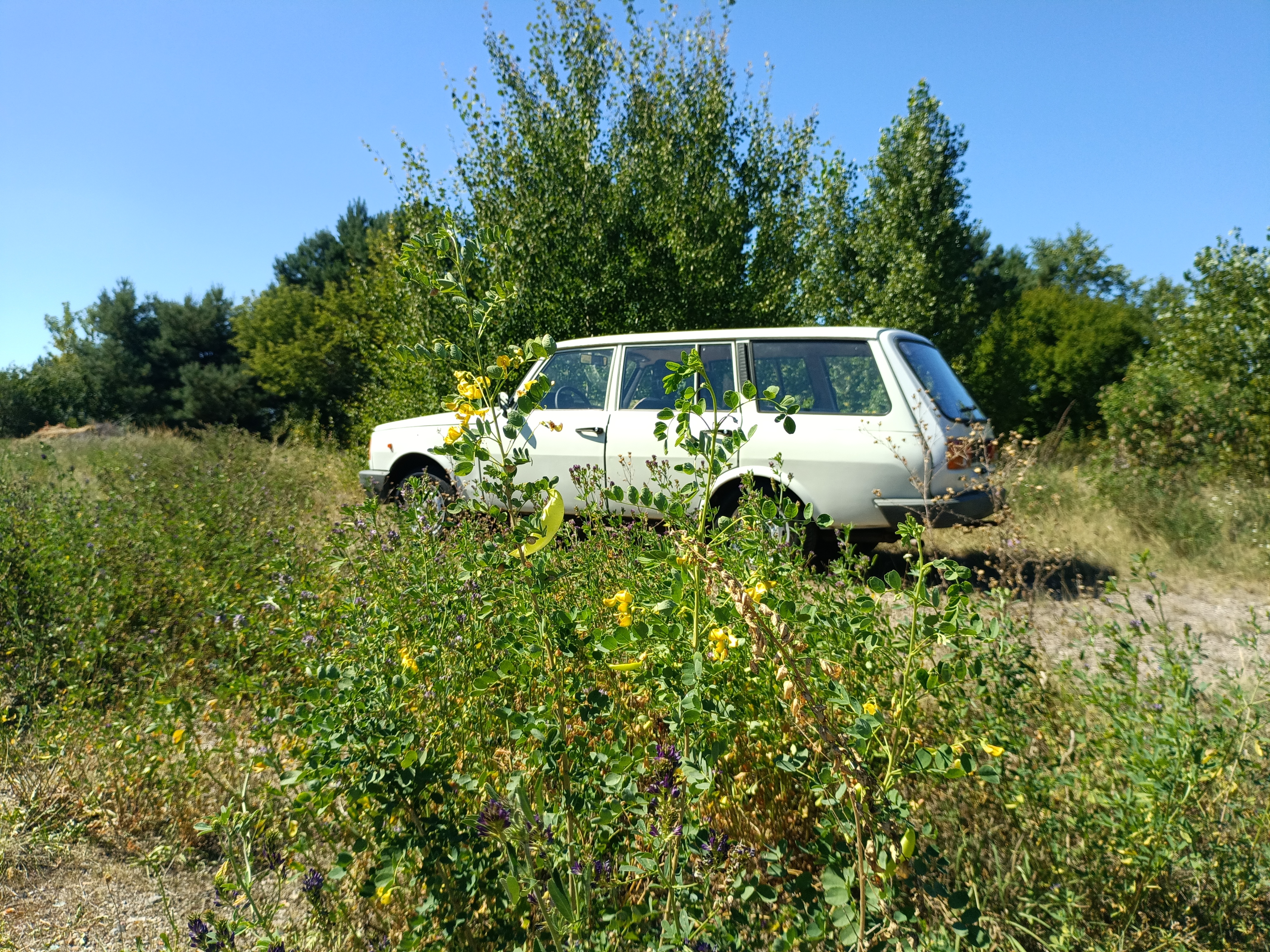 Verkauft Wartburg 1.3 Tourist 43tkm Oldtimer HU 8/2027 AHK