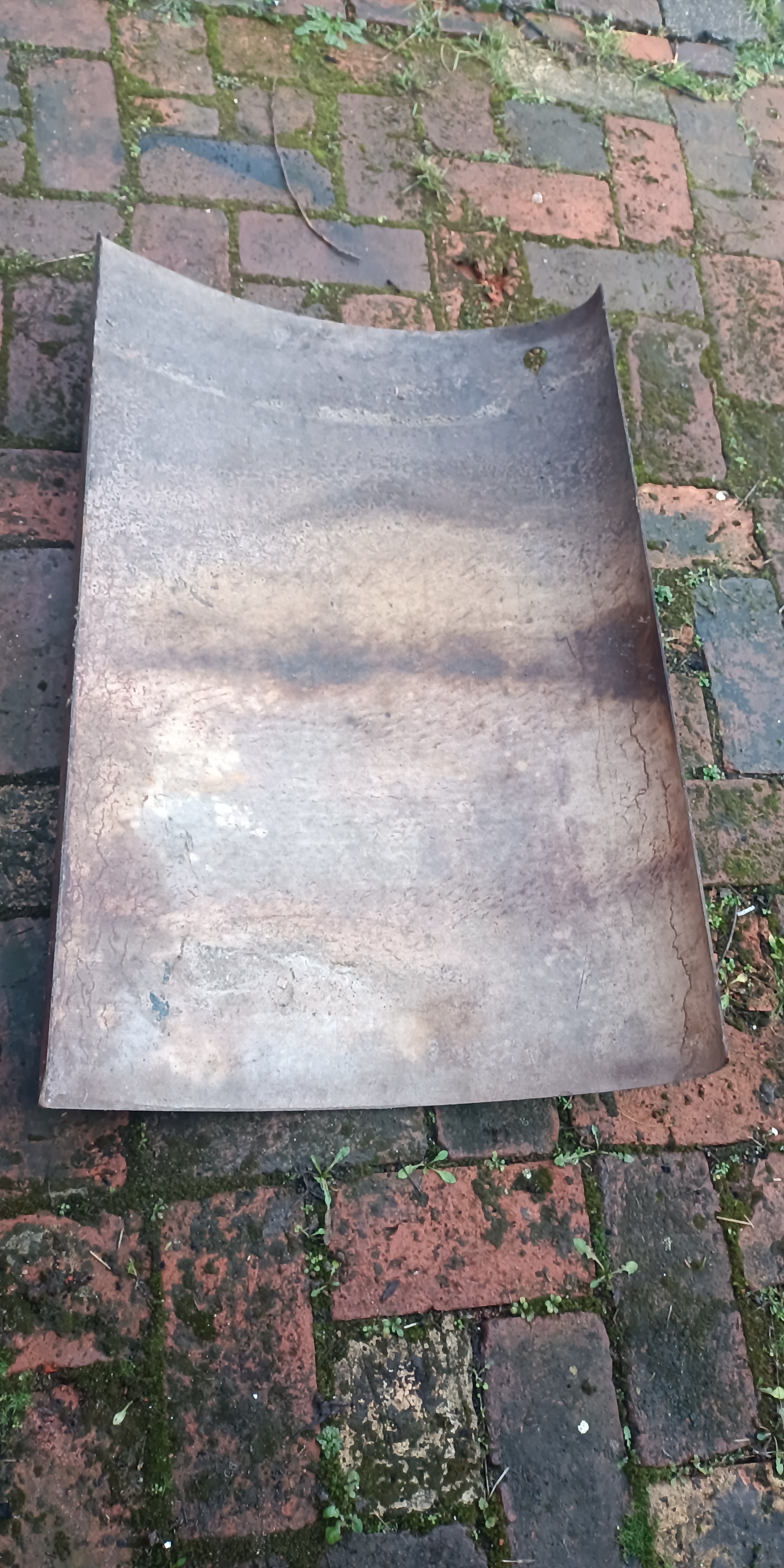 Türpappe Türhaut links Trabant 601