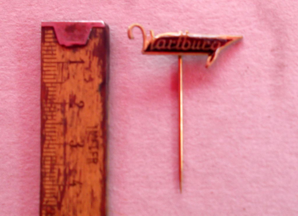 Pin Anstecknadel Wartburg